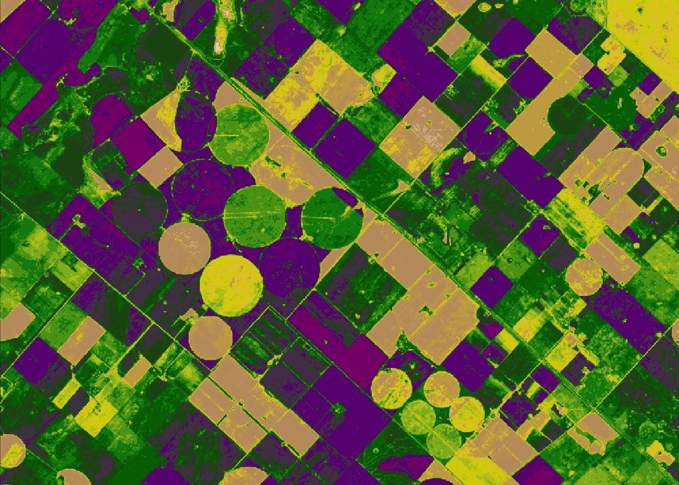 Insurance portfolio management